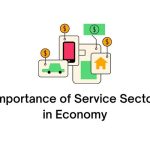 importance of service sector in economy