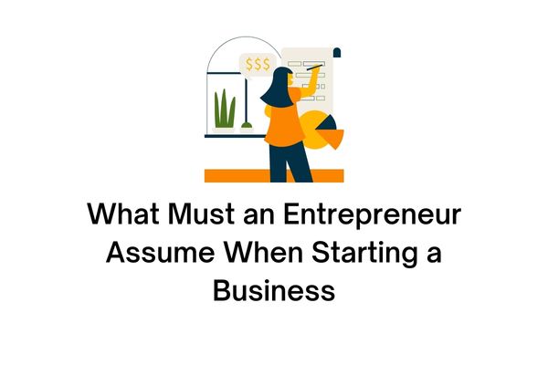 what must an entrepreneur assume when starting a business