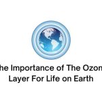 the importance of the ozone layer for life on earth