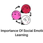 The Importance Of Social Emotional Learning