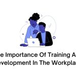 The Importance Of Training And Development In The Workplace