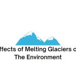 effects of melting glaciers on the environment