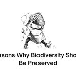 Reasons Why Biodiversity Should Be Preserved