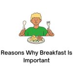 Reasons Why Breakfast Is Important