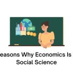Reasons Why Economics Is A Social Science