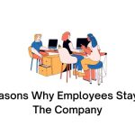 Reasons Why Employees Stay In The Company