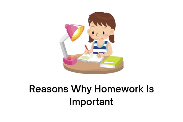 homework are important because