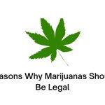 Reasons Why Marijuanas Should Be Legal
