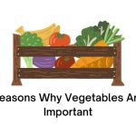 Reasons Why Vegetables Are Important
