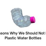 Reasons Why We Should Not Ban Plastic Water Bottles