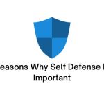 reasons why self defense is important